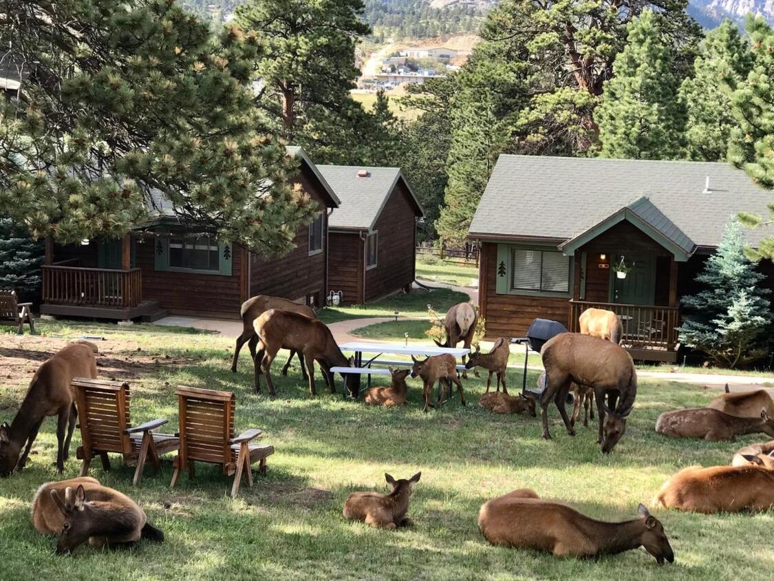 Mountain Shadows Resort Estes Park Exterior foto