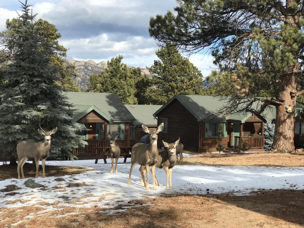 Mountain Shadows Resort Estes Park Exterior foto